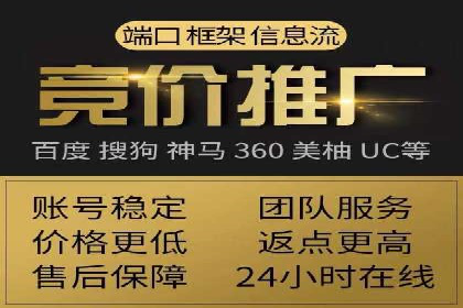 某电商平台信息流广告的精准推广策略